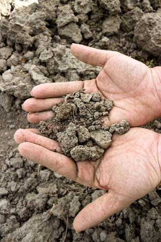 como-lucha-la-agricultura-contra-el-cambio-climatico.jpg