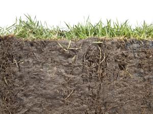 el-suelo-agricola-un-sistema-vivo-y-complejo-el-suelo-agricola-esta-lejos-de-ser-un-organismo-pasivo.-es-el-resultado-de-cientos-de-miles-de-anos-de-a.jpg